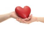 Heart in two hands