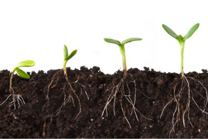 Personal Development