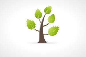 Join the Growth Zone
