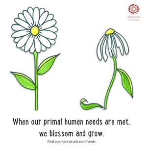 The Primal Human Needs - A New Framework for Happiness ...