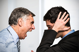 The Angry Bully The Angry Bully