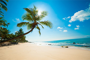 Beach Relaxation Beach Relaxation