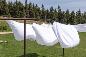 Stop Children Bedwetting Stop Children Bedwetting