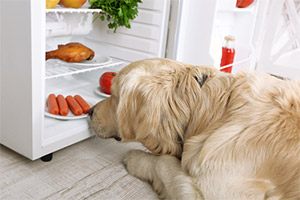 Control Hunger Control Hunger