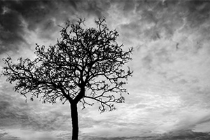 Death of a Child Death of a Child