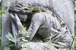 Death of a Parent Death of a Parent