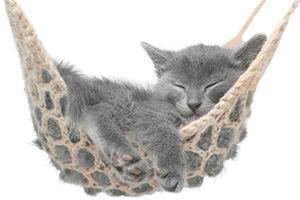 Drift off to sleep Drift off to sleep