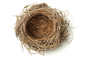 Empty Nest Syndrome Empty Nest Syndrome