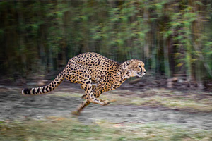 Healthy Lifestyle - Get Moving Healthy Lifestyle - Get Moving