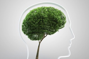 Get a Growth Mindset Get a Growth Mindset