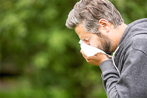 Hayfever Relief Hayfever Relief