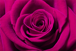Infertility Hypnosis Infertility Hypnosis