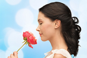 Stop and Smell the Roses Stop and Smell the Roses