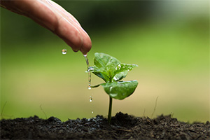 Start Own Business Start Own Business
