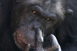 Stop Nose Picking Stop Nose Picking