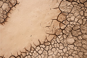 Psoriasis Treatment Psoriasis Treatment