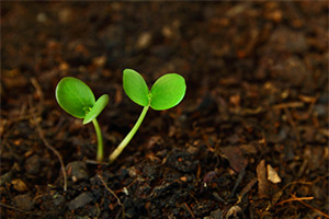 Reinvent Yourself Reinvent Yourself