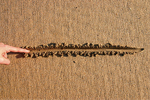 Setting Boundaries Setting Boundaries