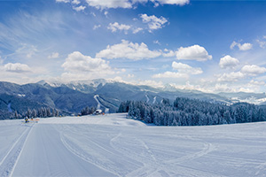 Alpine Ski Run Alpine Ski Run
