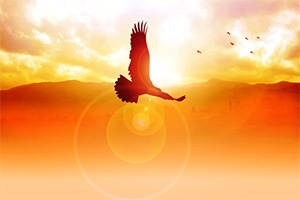 Soar Like an Eagle Soar Like an Eagle