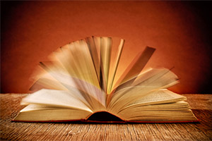 Speed Reading Speed Reading