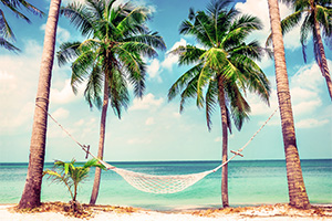 Vacation Mode Vacation Mode